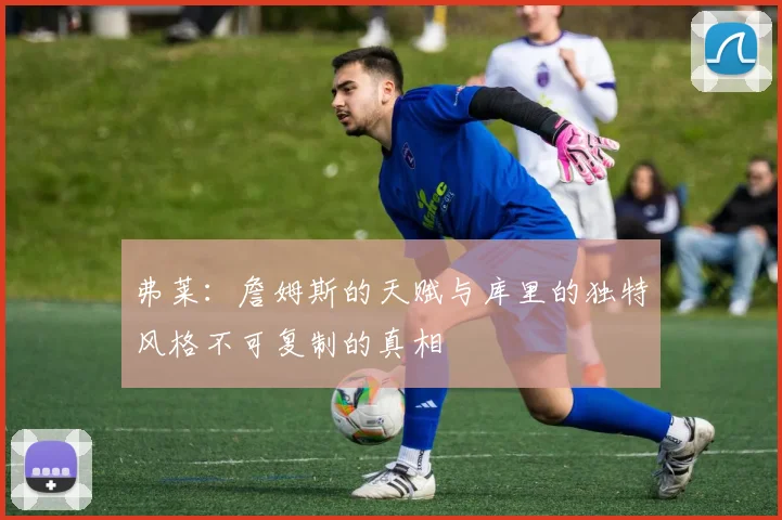 弗莱：詹姆斯的天赋与库里的独特风格不可复制的真相