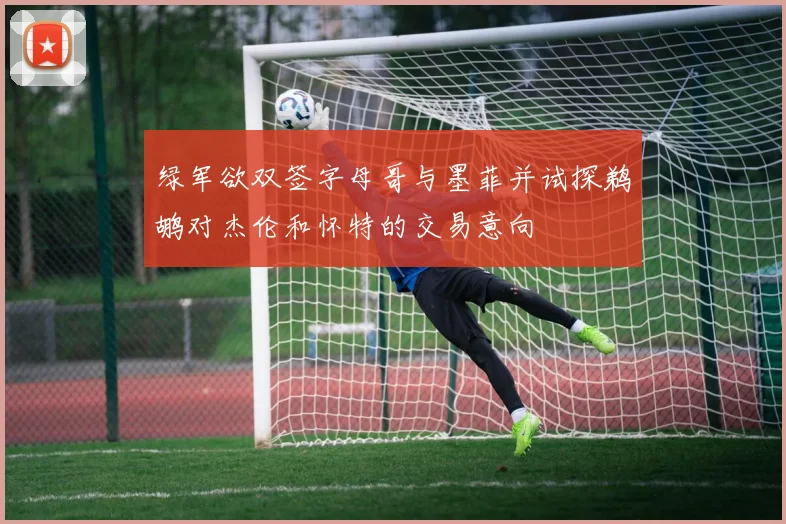 绿军欲双签字母哥与墨菲并试探鹈鹕对杰伦和怀特的交易意向