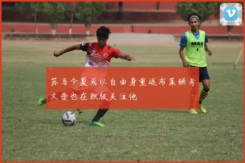 苏马今夏或以自由身重返布莱顿考文垂也在积极关注他